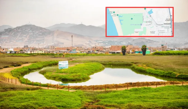 EL ‘PULMÓN VERDE’ DE LIMA QUE HACE 70 AÑOS CONTABA CON 1.500 HÉCTAREAS, PERO SE HA REDUCIDO DRÁSTICAMEMTE POR EL AVANCE URBANO