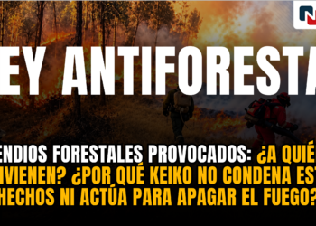 Incendios forestales y ley antiforestal: ¿una gran coincidencia? ¿A quién le conviene?