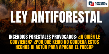 Incendios forestales y ley antiforestal: ¿una gran coincidencia? ¿A quién le conviene?