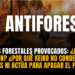 Incendios forestales y ley antiforestal: ¿una gran coincidencia? ¿A quién le conviene?
